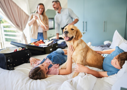 Understanding the Family Law Amendment Bill 2024: Pets as Companion Animals in Australia